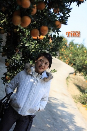 橘香小草菇 >>>Tina