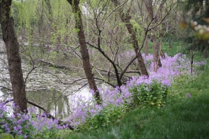 春天.春天.春天