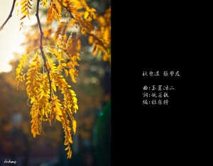 [GF2]::: 秋意濃 by DV :::