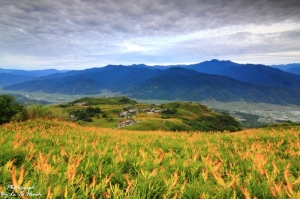 花蓮六十石山