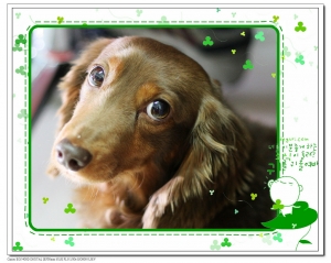 殺死一堆人的眼神