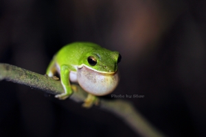 小弟復仇補考回來了