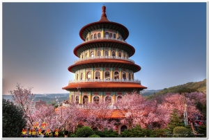 櫻の饗宴 - 淡水無極天元宮  - 嚐鮮篇