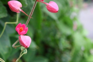全家高雄出遊,隨拍幾張