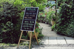 2013年3月23日~梅峰賞花趣(一) ^ ^