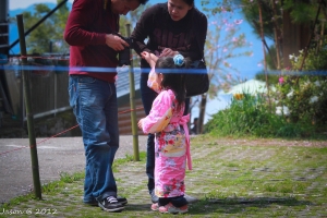 那一年, 我在恩愛農場賞櫻花... Part 2 by 50D