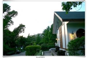 遊記--薰衣草明德店