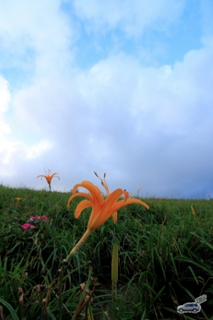 花蓮行...六十石山...