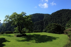 宜蘭大學實習林場