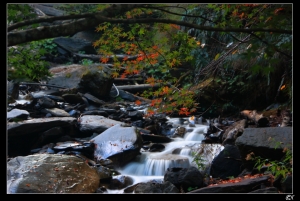 造訪傳說中的 108K