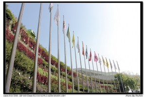 花博之花拍少少篇