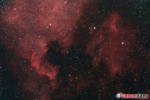 北美洲星雲 and 塘鵝星雲