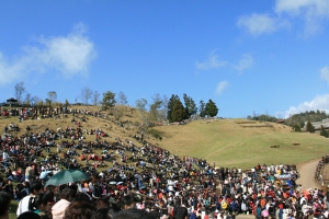 大年初三的清境農場