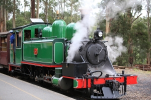 古老蒸汽小火車 Puffing Billy, Melbourne