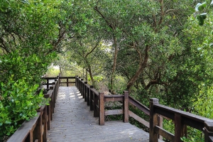 高雄援中港溼地公園隨拍