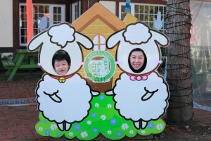 天氣晴in綠光森林