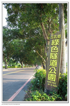 古坑綠色隧道