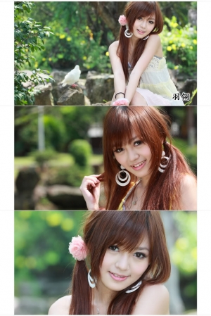 羽翎   青春的羽翼