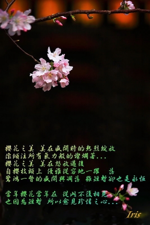 綻放瞬間的美麗~天元宮
