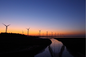 寧靜@高美溼地