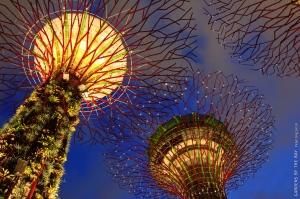 Gardens by the Bay (2)
