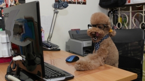 午茶時間，上來看看論壇今天有什麼新鮮事