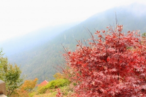 快樂宜蘭行+很棒的民宿