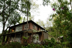 ++ 索羅門 新竹尖石~6號花園 ++