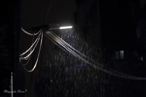 下了好久的雨，終於出太陽了....