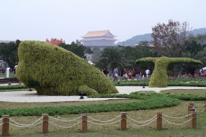 你花博了嗎? 50P