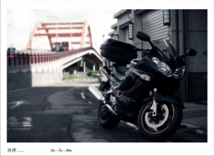 我的夥伴兼小三