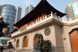 上海遊記 (4) ( 7D + 17-40 )