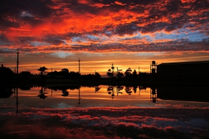 自家門口的晨景