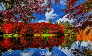 日本秘境楓紅【映。秋色】湖畔情