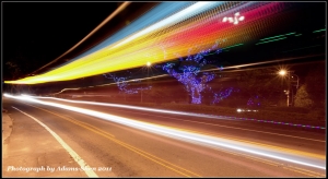 大屯雲曝@毒魔兔