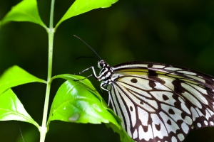 颱風天的好去處