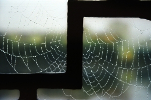 Crystal Necklace in Rain