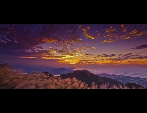 芒草+夕陽=大屯山
