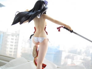 [Queen's Blade][對魔師][PVC寫真-Part-3][卸甲][16X]