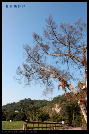 除夕136線道單車行