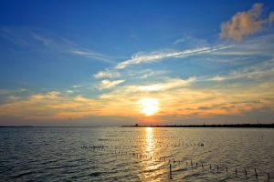 〔6.02〕七股夕彩