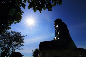 [7D]八卦山-大佛