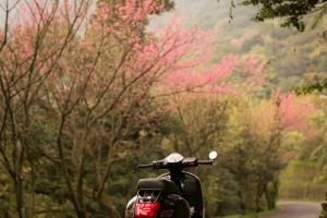 6D 週日午後騎車兜風順便拍拍