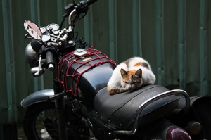 停車費