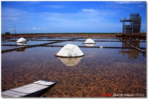 新手貼貼@井仔腳鹽田