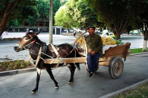 絲綢之路(七)－河西走廊