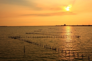 7.18七股Z型蚵棚日落摃辜