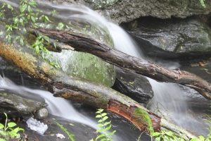 追楓紅沒追到,只追到潺潺流水.