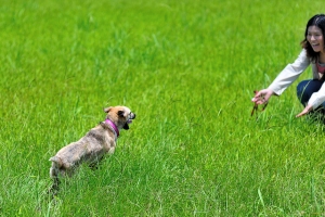 即將出國深造的小歪
