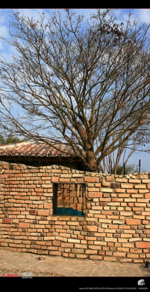 分享舊照-摩爾花園